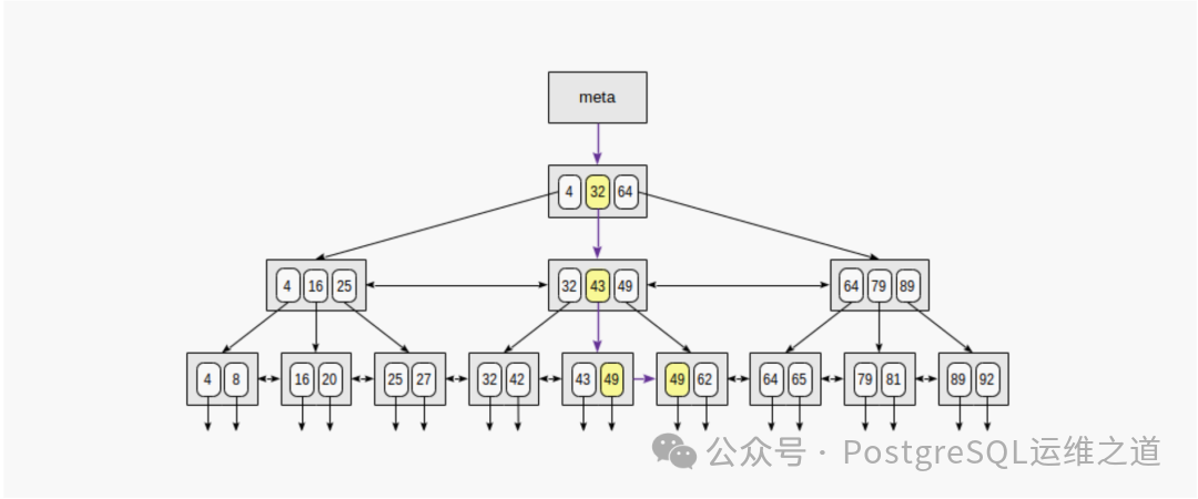 B+树查找键值49的路径示意图