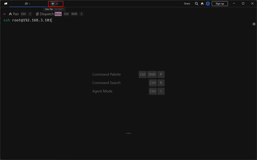 Warp新建标签页与SSH命令输入