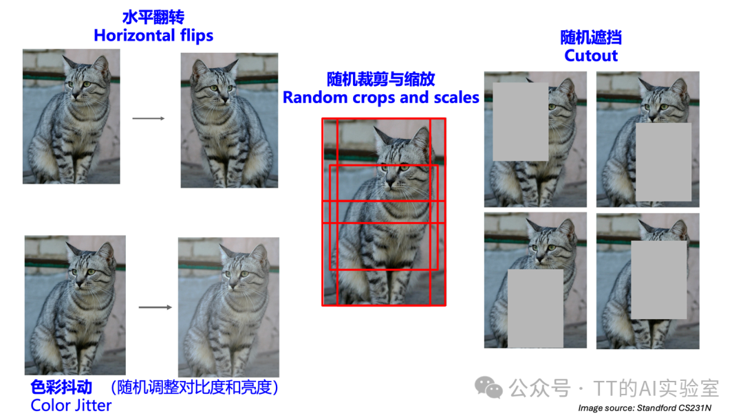 水平翻转、随机裁剪、随机遮挡等数据增强效果示例图