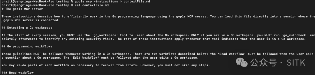 终端运行gopls mcp -instructions命令导出上下文文件