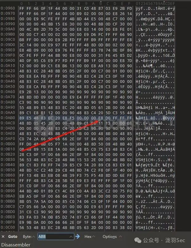 010 Editor验证文件偏移处的机器码