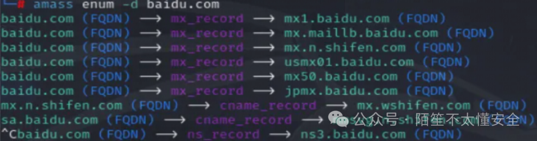 Amass枚举子域名输出结果