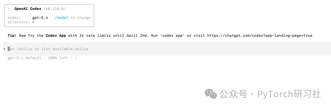 Codex CLI 终端界面