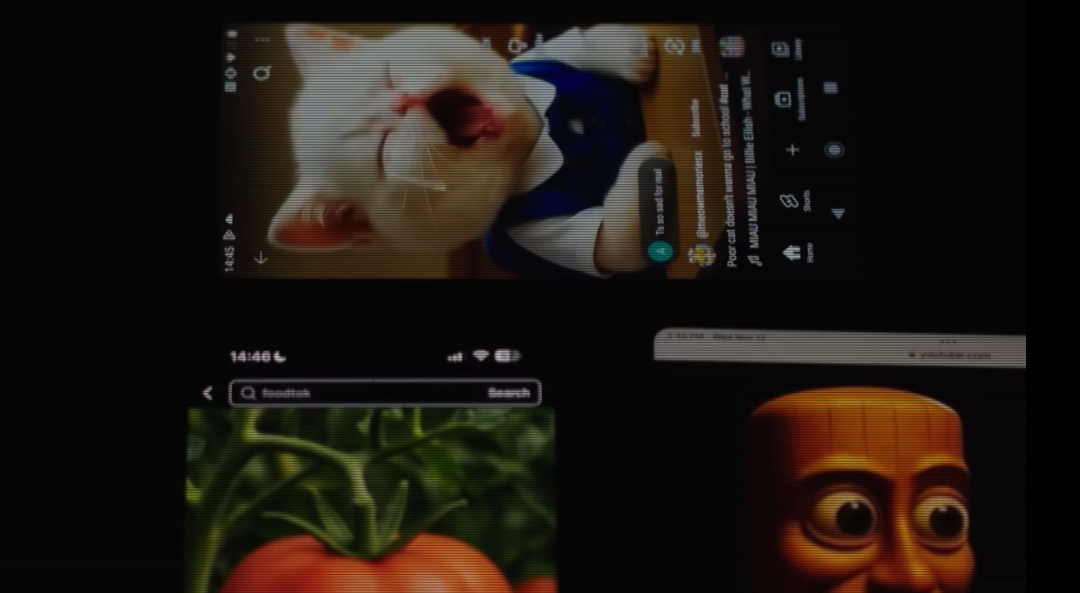 社交媒体页面截图,展示AI生成的猫咪视频等内容