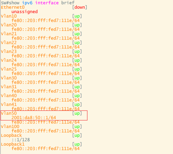 交换机show ipv6 interface brief输出,Vlan50接口IPV6地址高亮显示