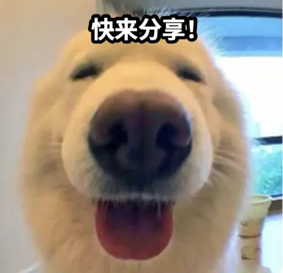 狗狗表情包，配文“快来分享！”
