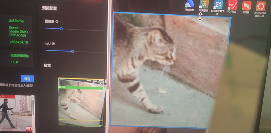 宠物表情识别模型运行界面1