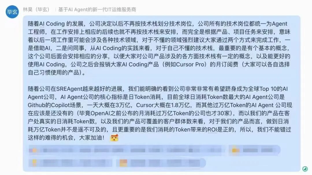毕玄关于AI Coding与Agent工程师的聊天对话截图