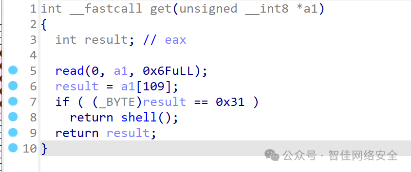 检查输入特定字节的后门函数