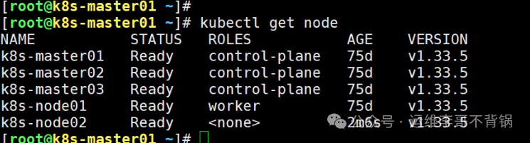 新增节点成功加入集群