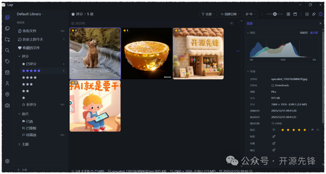 Lap 按评分筛选照片的界面