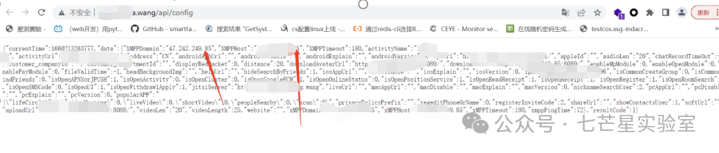 网页配置信息泄露截图包含敏感数据