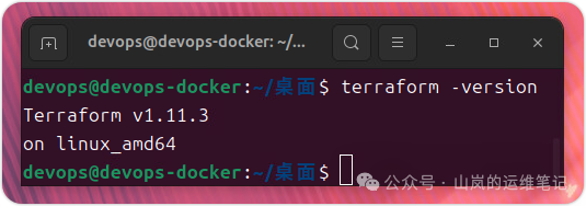 验证Terraform版本