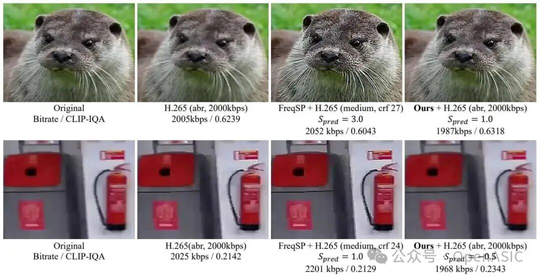 主观质量对比图