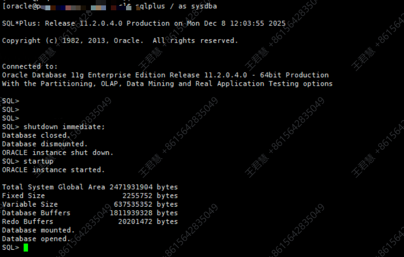 正常关闭并启动数据库