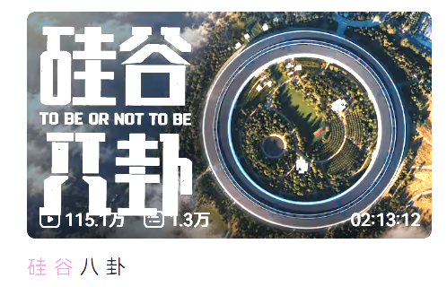 硅谷八卦视频封面