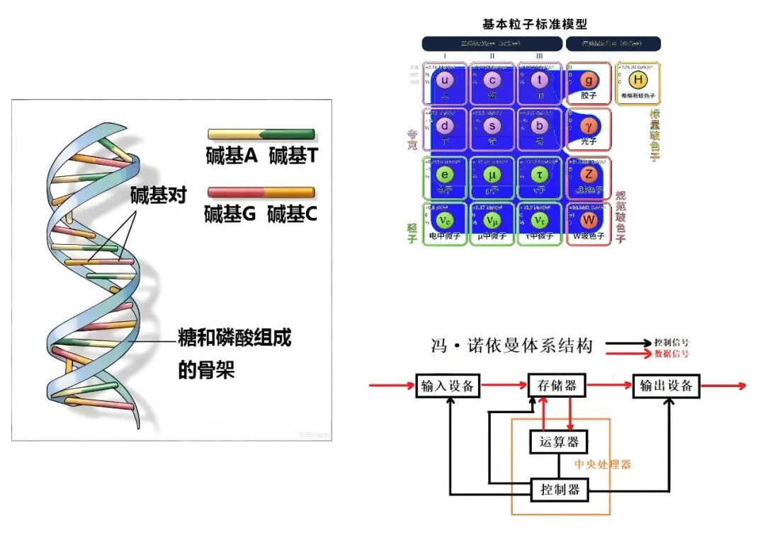 分子生物学、粒子物理标准模型与冯·诺依曼体系结构示意图