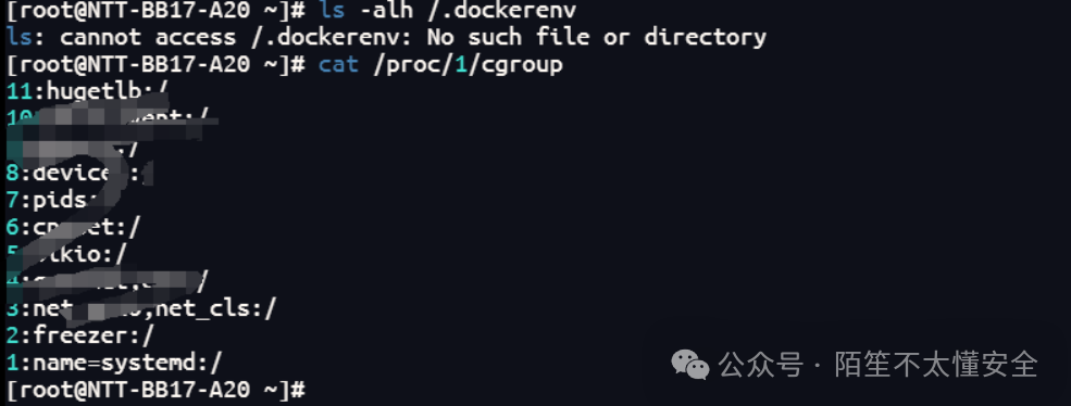 检查cgroup和.dockerenv文件