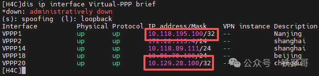 终端显示VPN接口状态,含多个PPTP接口及其IP地址