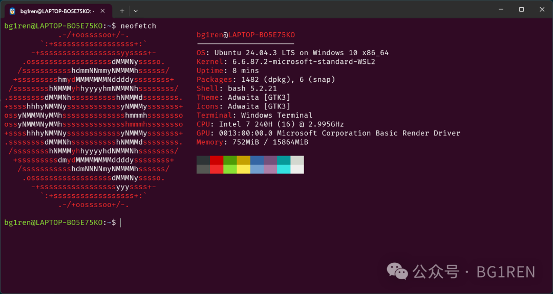 应用 Ubuntu 经典配色方案后的 neofetch 输出