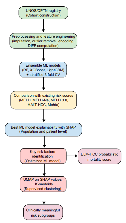 HCC肝移植候选者死亡风险评估与分层工作流程图