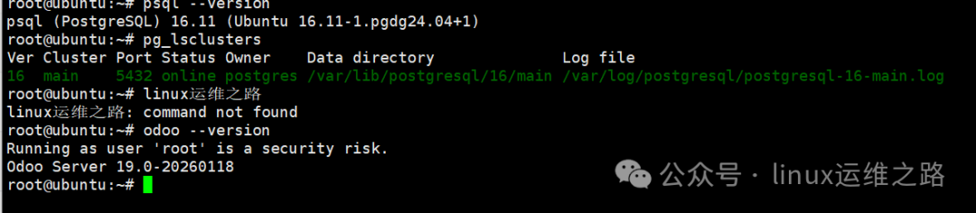 Odoo版本验证与安装状态