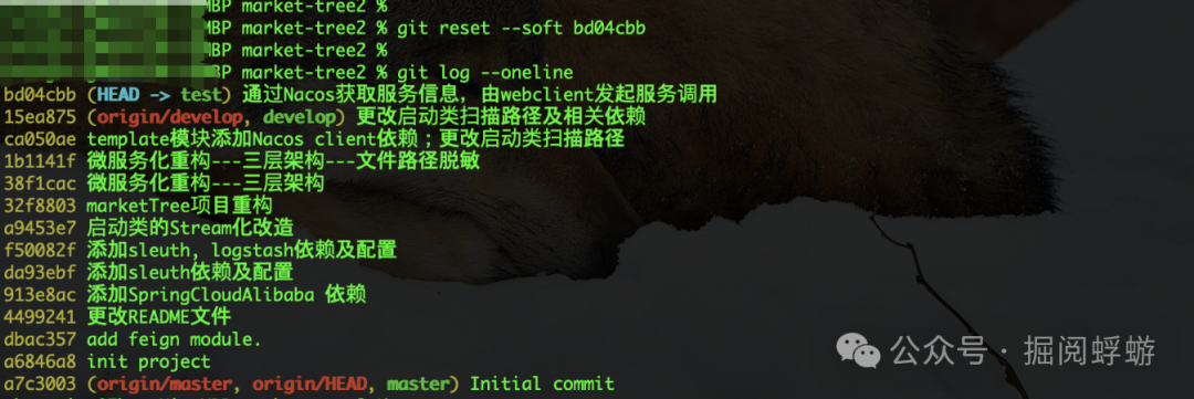 在本地执行 git reset --soft 回退到目标 commit