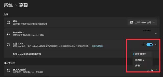 Windows 11 Sudo功能设置界面