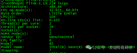 服务器CPU硬件信息截图，显示为双路Intel Xeon Gold处理器