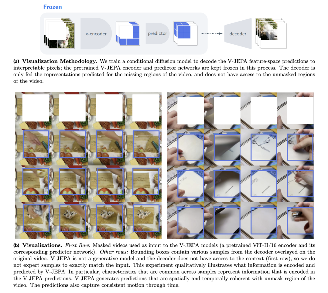 V-JEPA预测特征可视化