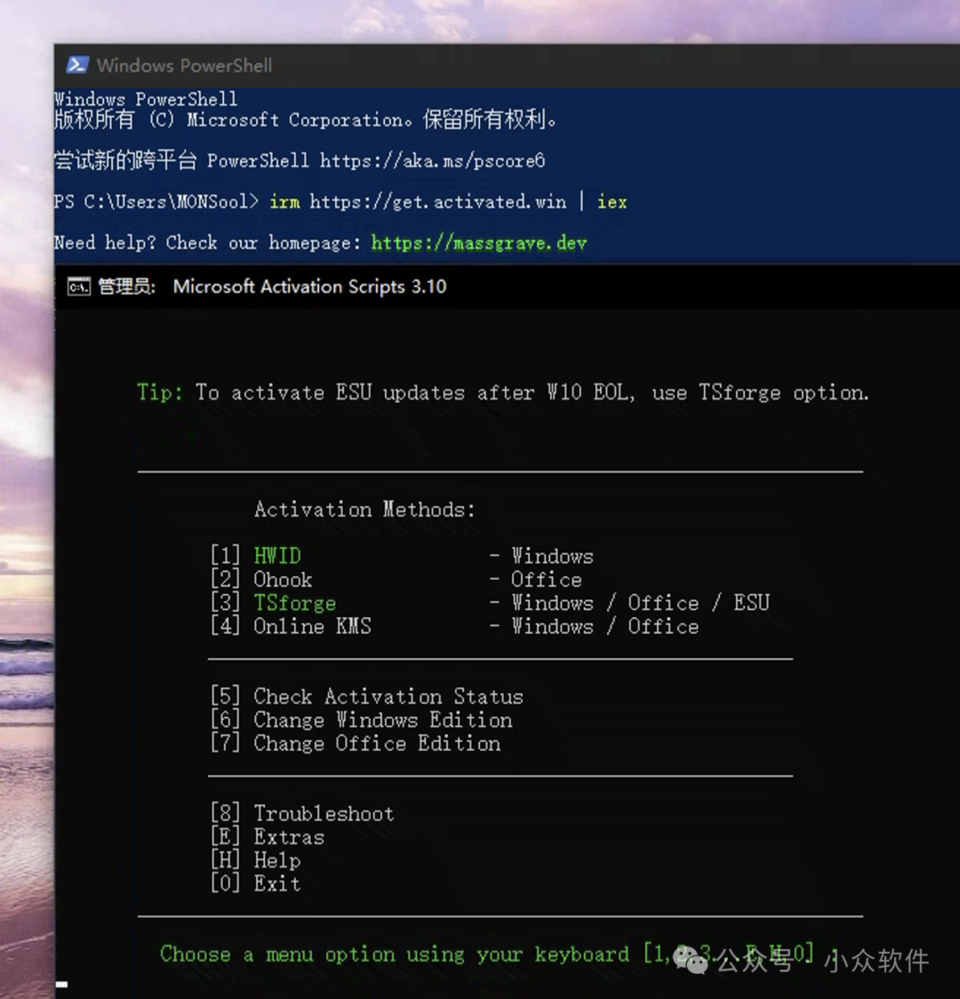 Windows PowerShell 界面显示 Microsoft Activation Scripts 3.10 的激活选项菜单