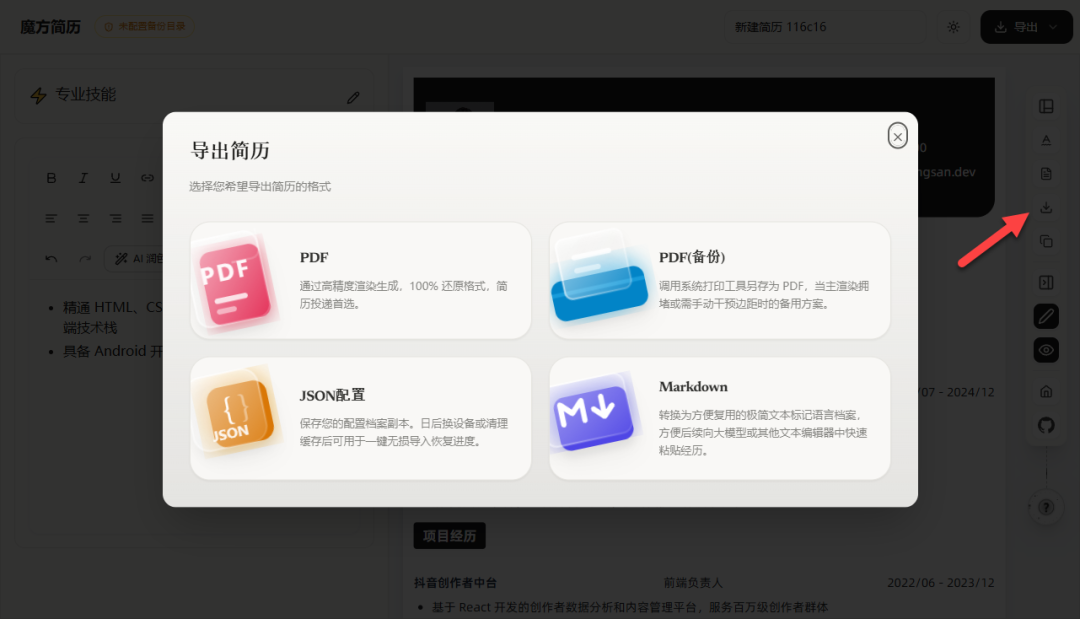 多格式导出选项