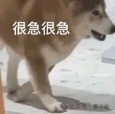 很急很急狗表情包