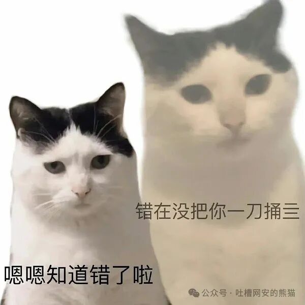 两只猫表情包