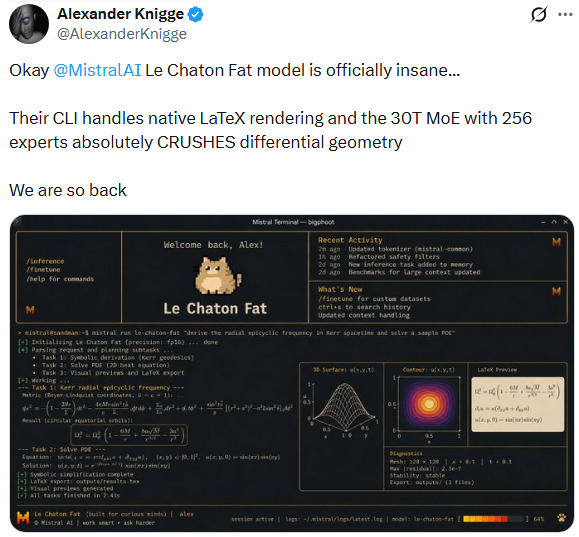 Le Chaton Fat终端界面处理数学推导和可视化
