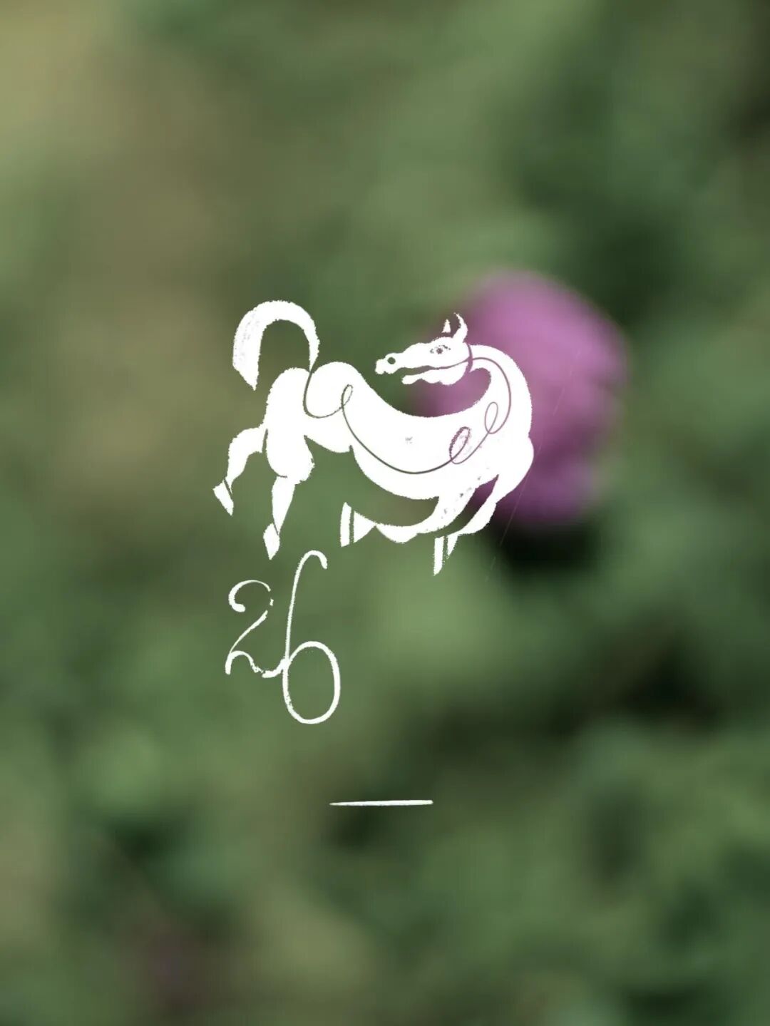 模糊背景中白色马形线条，下方“26＿”，绿色植物虚化