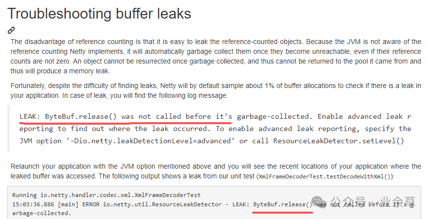 Netty 内存泄漏排查官方文档截图