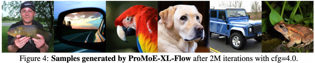 ProMoE-XL-Flow生成的类别条件图像样本