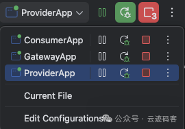 IDEA中启动的三个微服务应用