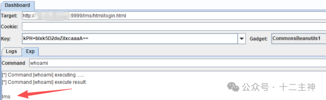 执行whoami命令结果