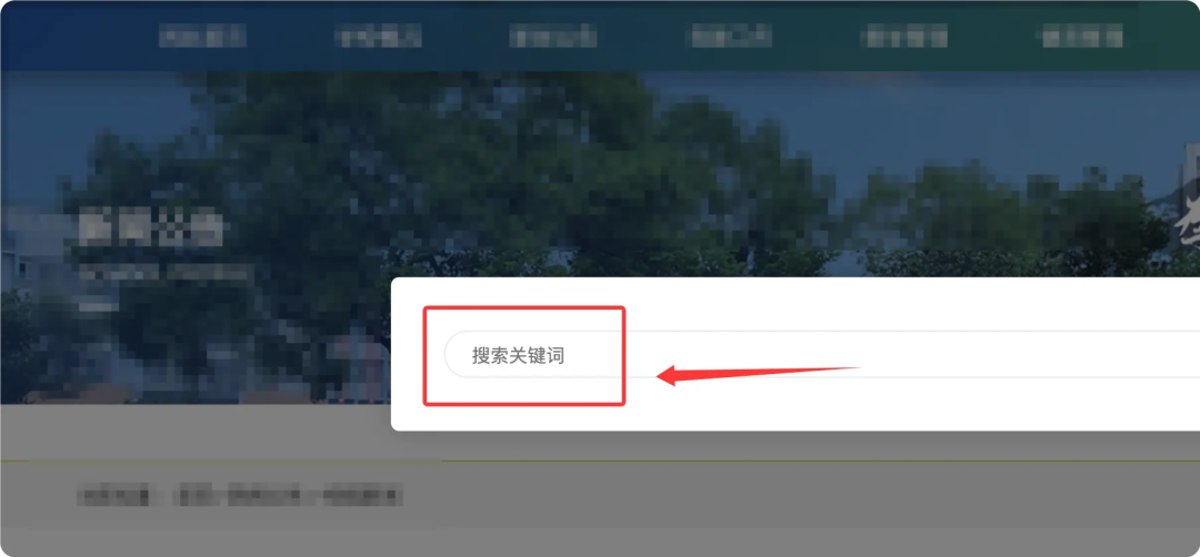 网站搜索框界面