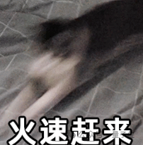 一只快速奔跑的猫，配文‘火速赶来’