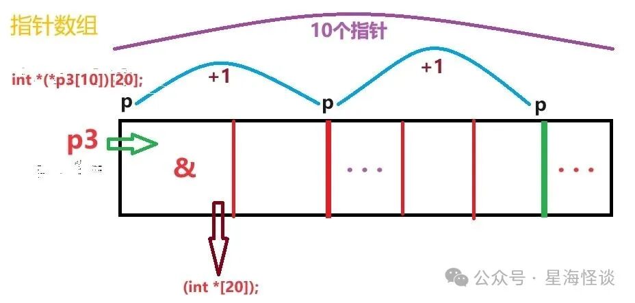 指针数组示意图：p3[10]，每个p指向 int*[20]