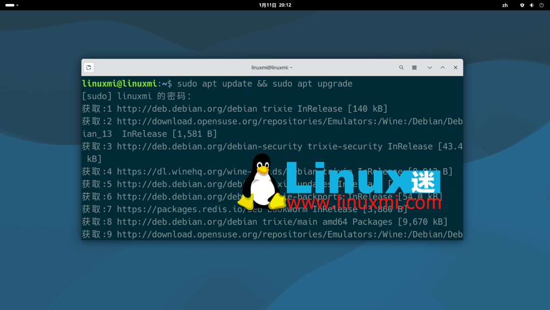 Debian系统使用apt命令更新升级过程截图
