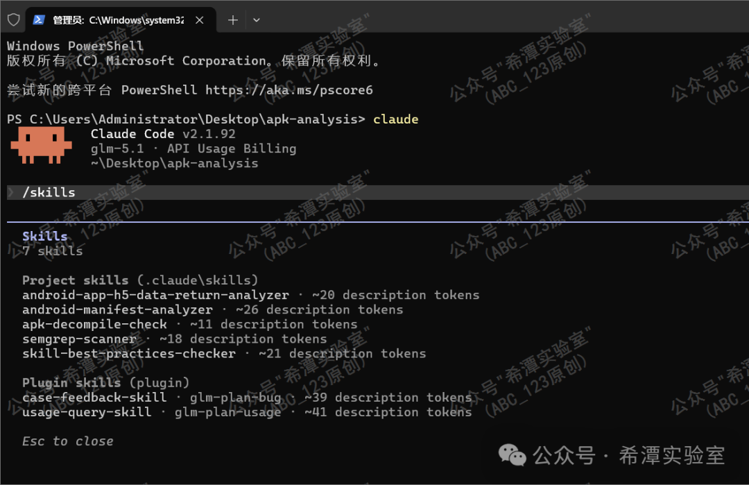 Claude Code 中执行 /skills 命令的输出结果