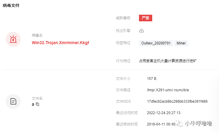 病毒文件详情:Win32.Trojan.Xmrminer.Kkgf